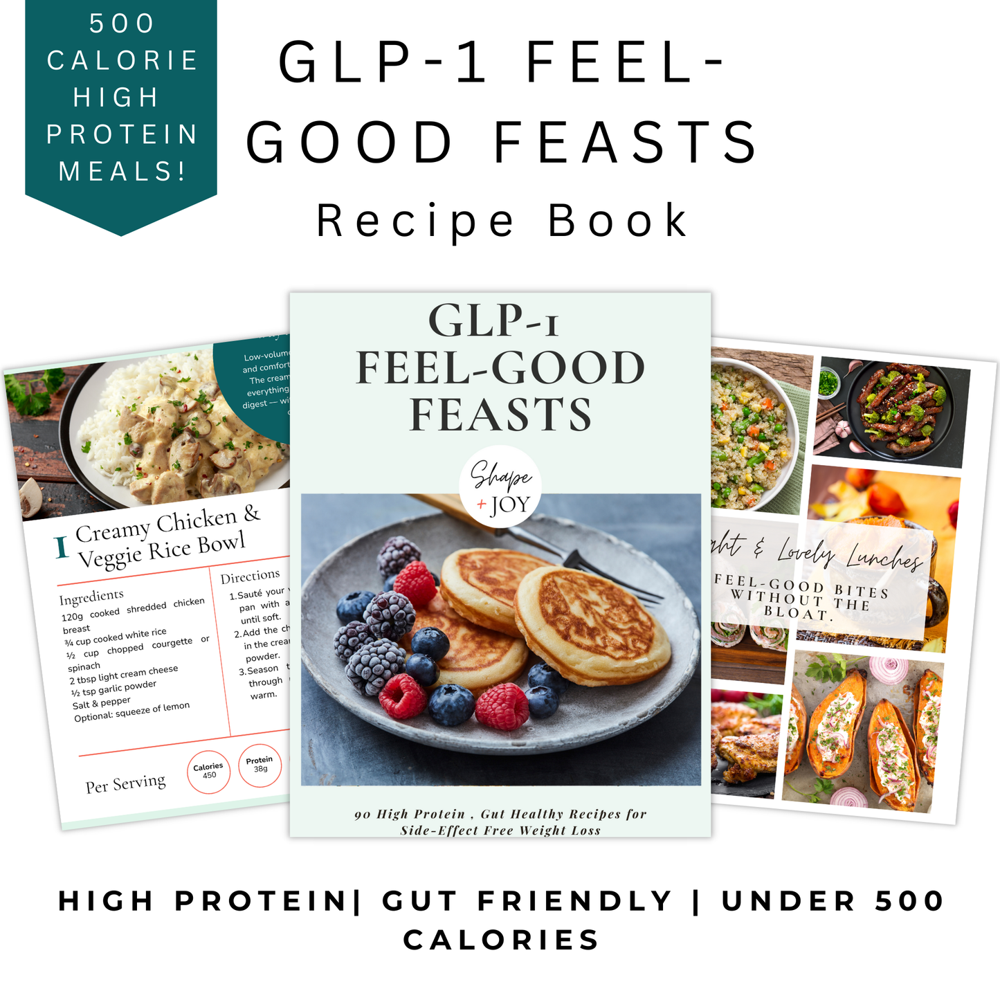 GLP-1 Feel Good Feasts - 90 High Protein, Gut Friendly Meals