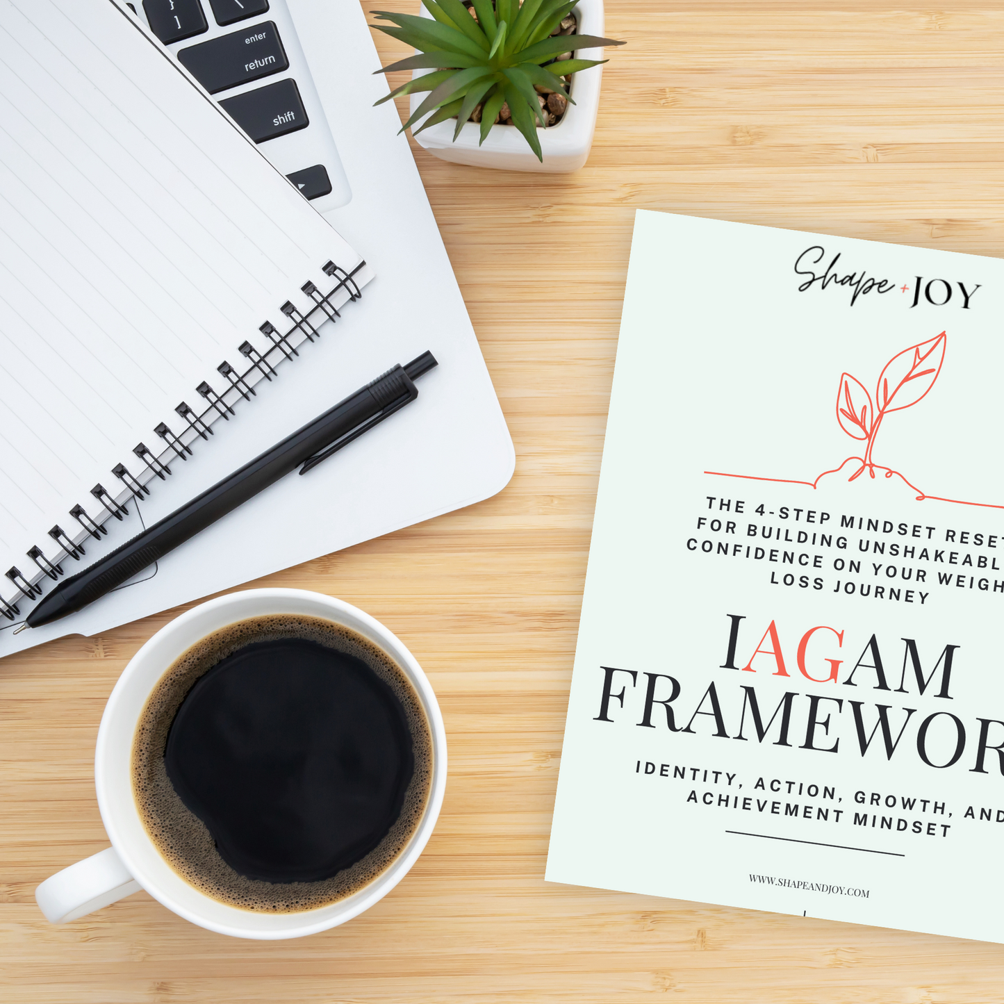 IAGAM Weight Loss Mindset Workbook eBook